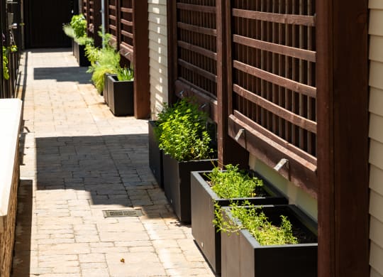 a row of boxes with plants outside a building