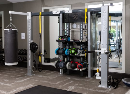 a gym with weights and a punching bag in it