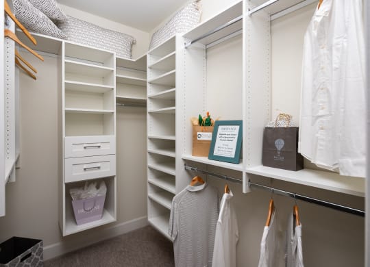 a walk in closet with white shelves and a window