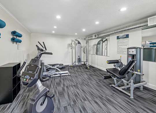 A gym with a row of treadmills and a row of exercise bikes.