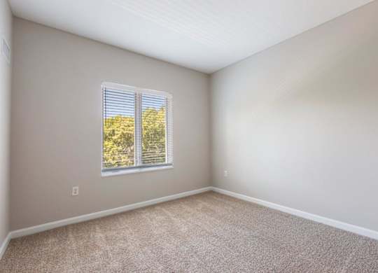 A room with a window showing trees outside.