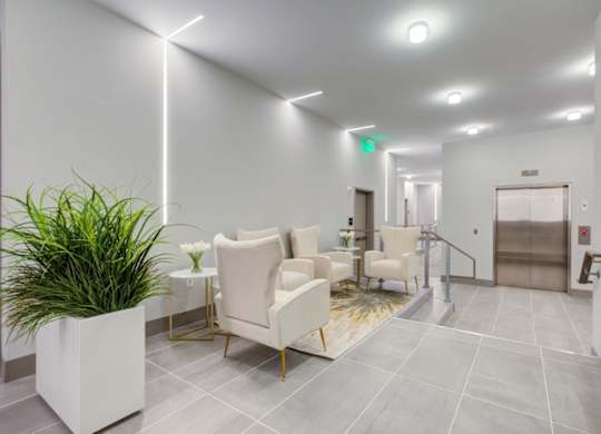 A waiting room with chairs and a plant.