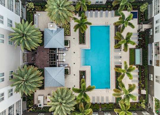 A swimming pool surrounded by palm trees and buildings.
