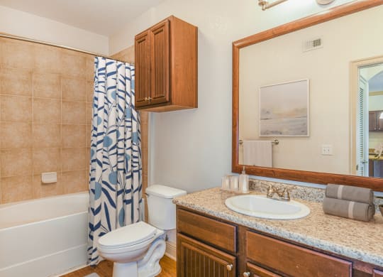 a bathroom with a shower toilet and sink and a mirror