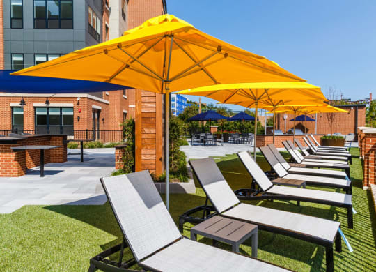 a row of lawn chairs with umbrellas in a courtyard at 100 House Apartments, New Jersey, 07310
