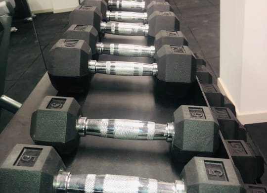 a row of dumbbells in a gym at Carver and Slowe Apartments, Washington, DC, 20001