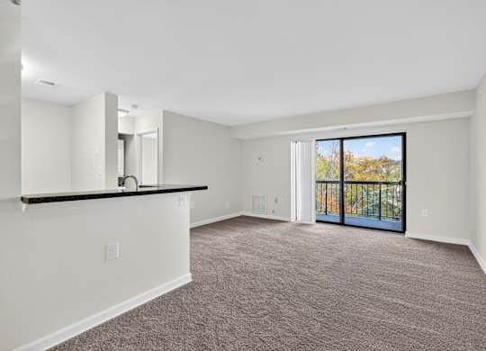 A spacious room with a carpeted floor and a sliding glass door leading to a balcony.