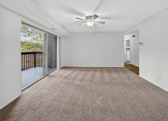 A room with a carpeted floor and a ceiling fan.