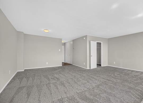 A spacious room with grey carpeting and white walls.