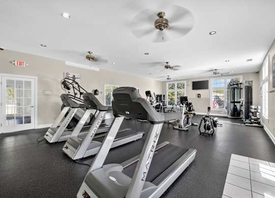 A gym with treadmills, elliptical machines, and a fan.