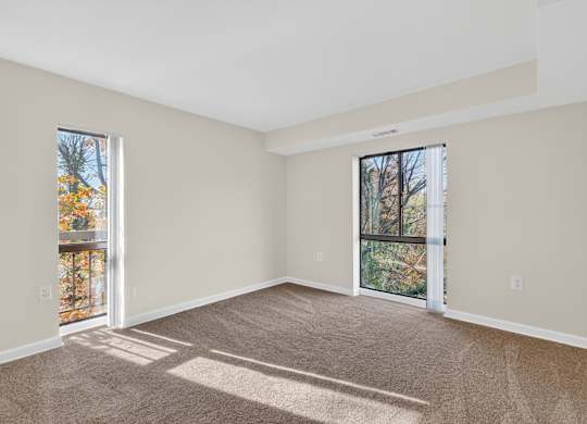 A room with a carpeted floor and two windows.