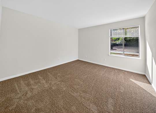 A room with a carpeted floor and a window showing a view of a street.