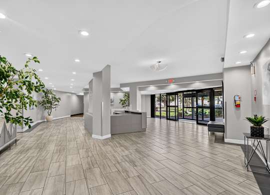 A reception area with a grey reception desk and a potted plant on the side.