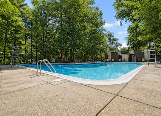 A large swimming pool surrounded by trees.