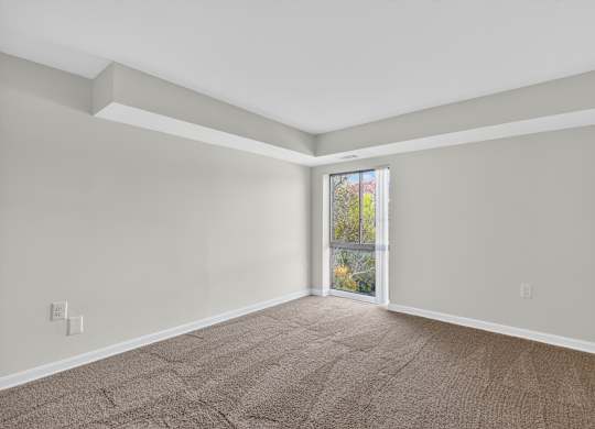 A room with a carpeted floor and a window showing a tree.