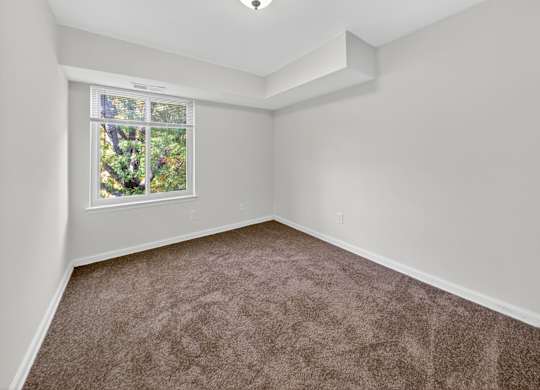 A room with a carpeted floor and a window showing trees outside.