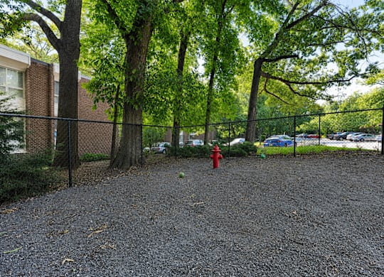 A gravel area surrounded by trees and a fence with a red fire hydrant in the middle.