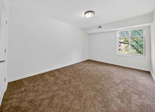 A room with a carpeted floor and a window with a view of trees.