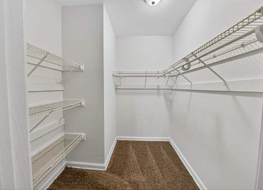 A walk-in closet with white shelving and a brown carpet.