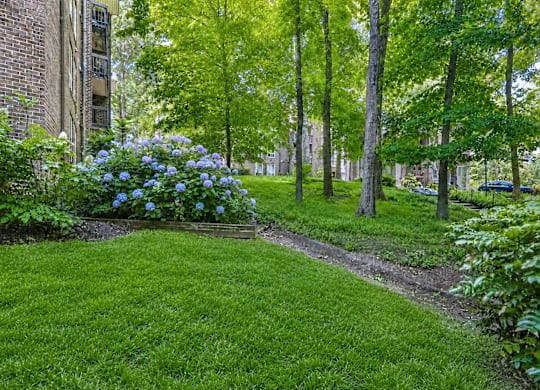 A garden with a lawn and trees.