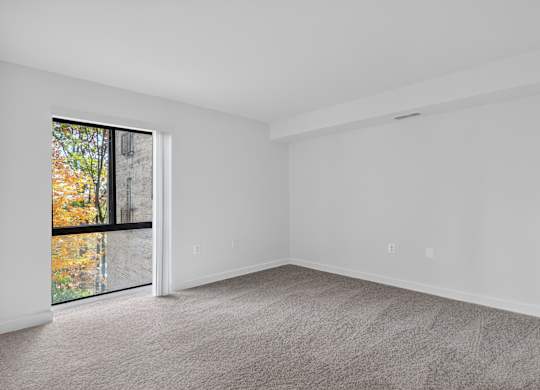 A room with a carpeted floor and a window with a view of trees outside.