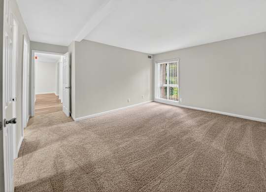 A room with a carpeted floor and a window with blinds.