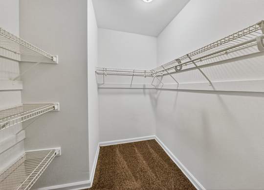 A walk-in closet with white shelving and a brown carpet.