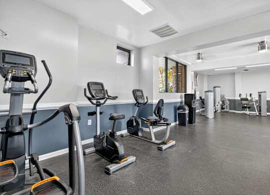 A gym with treadmills, exercise bikes, and other equipment.