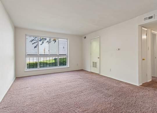 A room with a carpeted floor and a window with a view of a fence and trees.