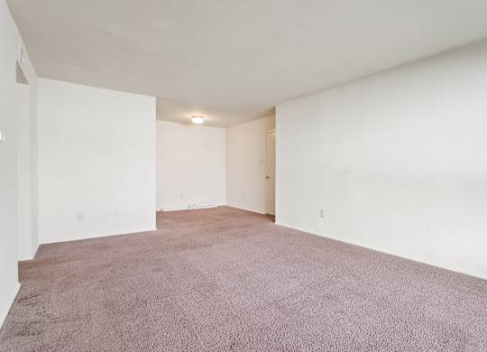 A room with a carpeted floor and white walls.