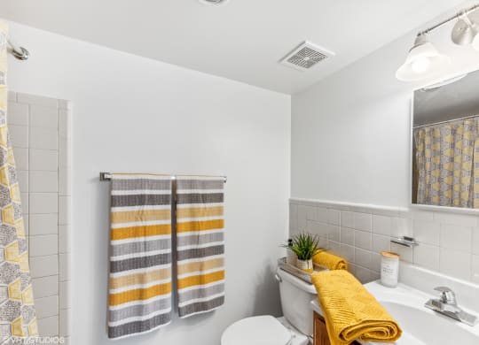 a bathroom with a toilet and a sink and a mirror