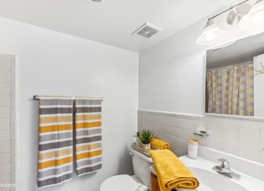 a bathroom with a toilet and a sink and a mirror