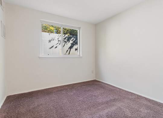 A room with a window showing trees outside.