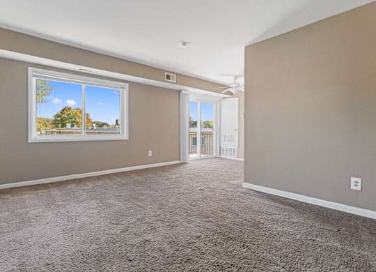 A room with a carpeted floor and a large window showing a tree and sky.