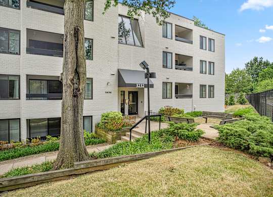 a white apartment building with a tree in front of it