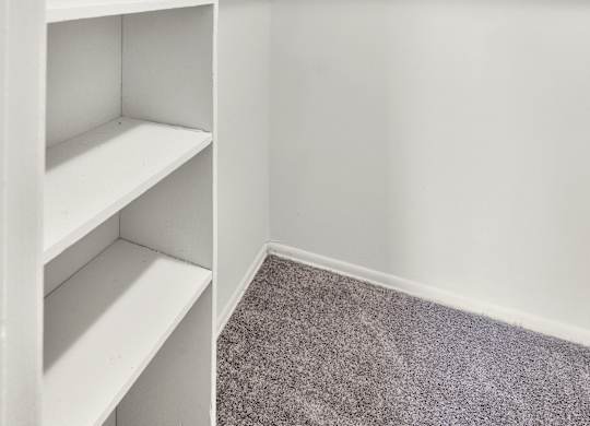 A white closet with shelves and a carpeted floor.