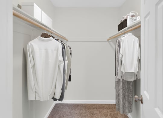 a walk in closet in a home with a carpeted floor and white clothes hanging