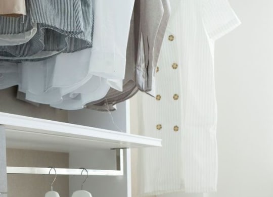 Riverbend Apartments, Washington, DC walk in closet