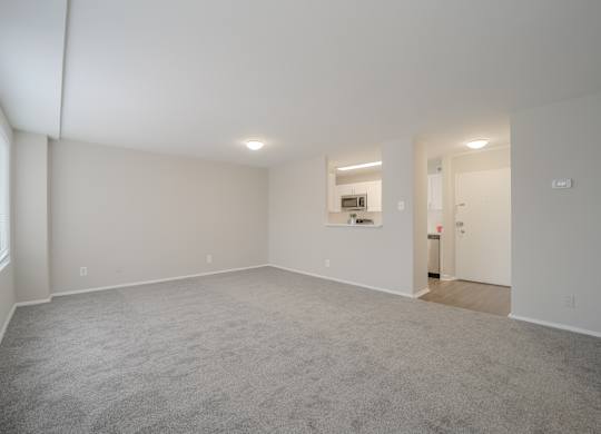 A large, empty room with a carpeted floor and white walls.