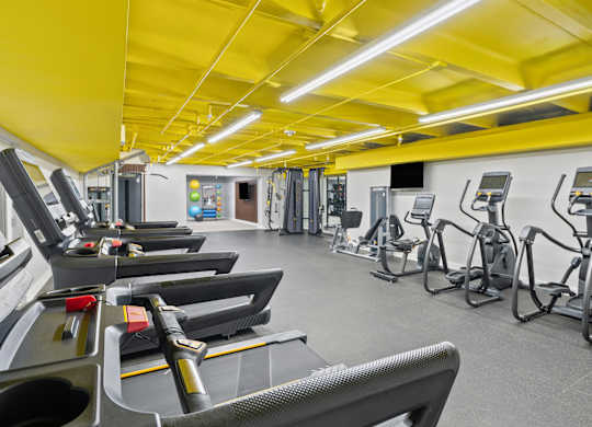A gym with a variety of exercise equipment including treadmills, stationary bikes, and weight machines.
