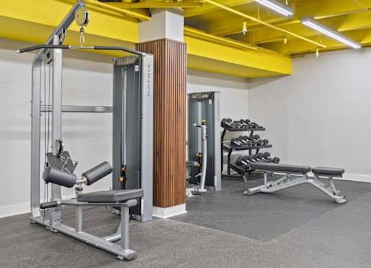 A gym with a weight bench, a squat rack and a barbell.