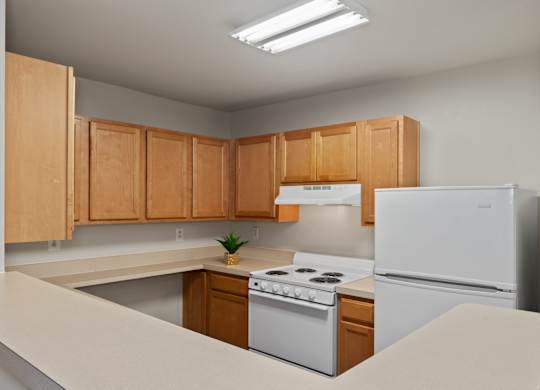 Efficient Appliances In Kitchen at River Point Apartments, Essex, Maryland