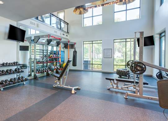 a gym with weights and other equipment and windows at Century Town Center, Gainesville, Florida
