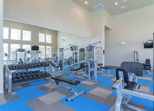 a gym with cardio equipment and weights at the arcadia apartments at Century Palm Bluff, Portland, TX, 78374