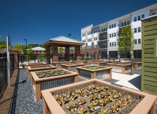 a community garden with raised beds and a gazebo at Marley EAV, Atlanta, GA, 30316
