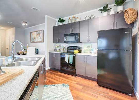 A modern kitchen with a black refrigerator and stove.at Century Ariva, Florida, 33812