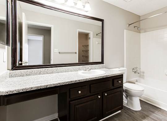 Large Bathroom at Wildcreek Apartments, Clarkston, Georgia