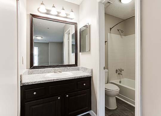 Modern Bathroom at Wildcreek Apartments, Clarkston, GA