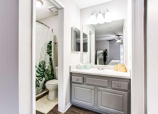 Luxurious Bathroom at Wildcreek Apartments, Georgia 30021