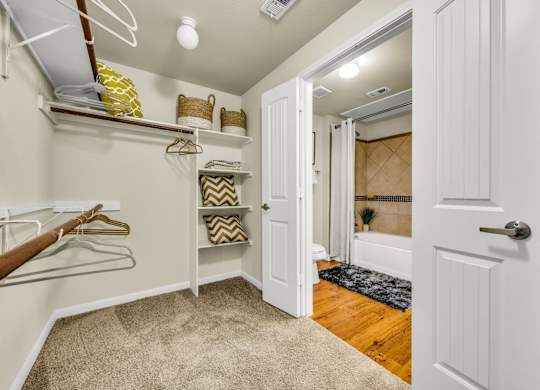 A hallway with a white door and a carpet on the floor.